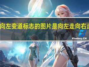向左变道标志的图片是 向左走向右走图片