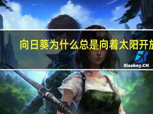 向日葵为什么总是向着太阳开放