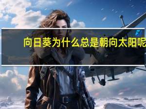 向日葵为什么总是朝向太阳呢