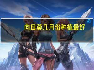 向日葵几月份种植最好