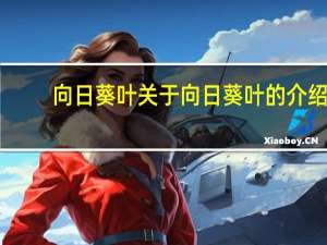 向日葵叶 关于向日葵叶的介绍