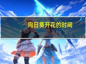 向日葵开花的时间