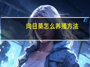 向日葵怎么养殖方法