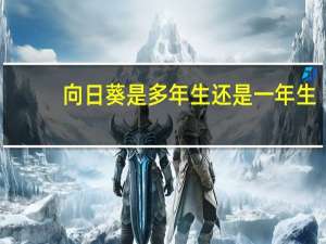向日葵是多年生还是一年生
