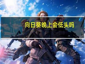 向日葵晚上会低头吗