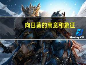 向日葵的寓意和象征