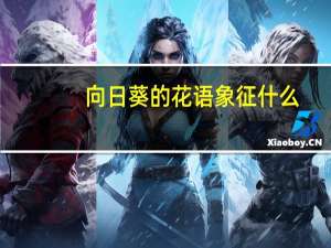 向日葵的花语象征什么