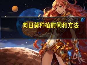 向日葵种植时间和方法