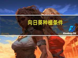 向日葵种植条件