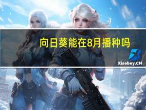 向日葵能在8月播种吗