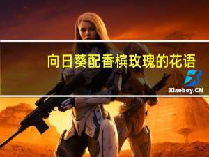 向日葵配香槟玫瑰的花语