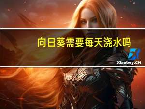 向日葵需要每天浇水吗