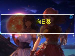 向日葵（关于向日葵的介绍）