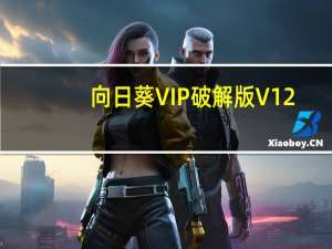 向日葵VIP破解版 V12.0.1.40571 吾爱破解版（向日葵VIP破解版 V12.0.1.40571 吾爱破解版功能简介）