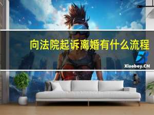 向法院起诉离婚有什么流程