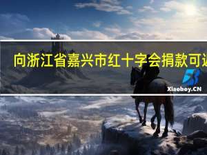 向浙江省嘉兴市红十字会捐款可返利？谣言 到底什么情况呢