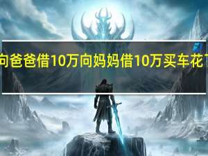 向爸爸借10万向妈妈借10万买车花了17万