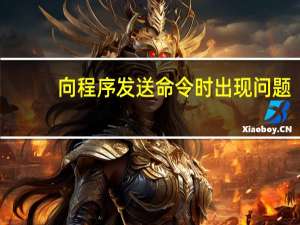 向程序发送命令时出现问题