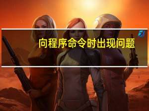 向程序命令时出现问题