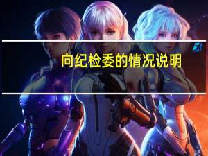 向纪检委的情况说明（向纪委写情况说明范文）