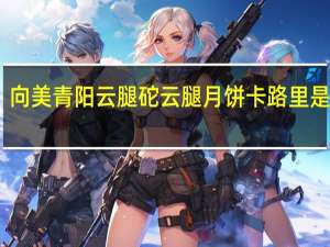 向美青阳云腿砣云腿月饼卡路里是多少