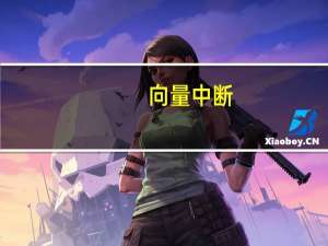 向量中断