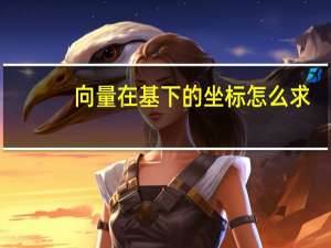 向量在基下的坐标怎么求