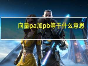 向量pa加pb等于什么意思