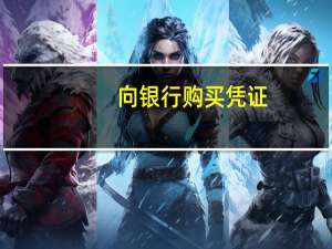 向银行购买凭证，怎样写分录，借应该写什么