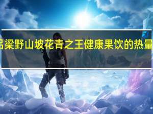 吕梁野山坡 花青之王 健康果饮的热量是多少