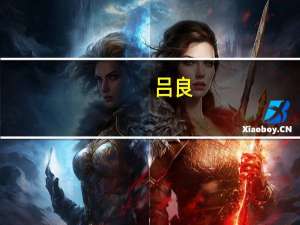 吕良（关于吕良的介绍）