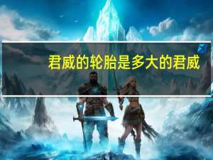 君威的轮胎是多大的 君威 . 轮胎 为什么那么宽
