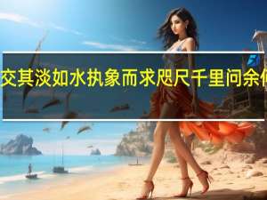 君子之交其淡如水执象而求咫尺千里问余何适廓尔忘言