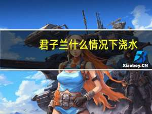 君子兰什么情况下浇水