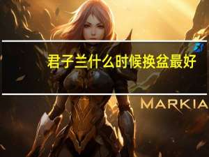 君子兰什么时候换盆最好