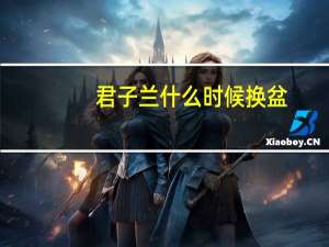 君子兰什么时候换盆：君子兰换土最好的季节是春季和秋季