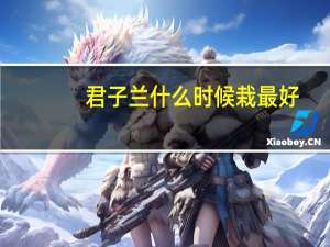 君子兰什么时候栽最好