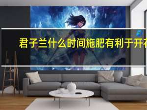 君子兰什么时间施肥有利于开花