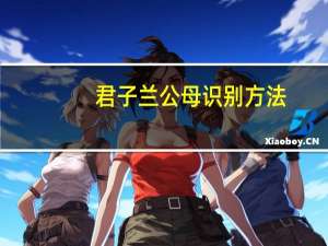 君子兰公母识别方法（君子聚义堂）