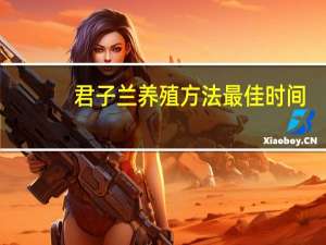 君子兰养殖方法最佳时间