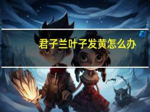 君子兰叶子发黄怎么办：病因分析和处理方法