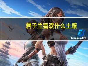 君子兰喜欢什么土壤