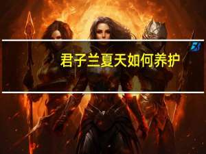 君子兰夏天如何养护