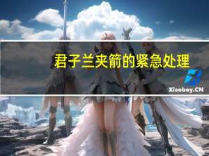 君子兰夹箭的紧急处理（君子兰夹箭的紧急处理浇啤酒）