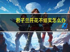 君子兰开花不结实怎么办