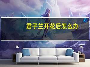 君子兰开花后怎么办：护养方法和技巧
