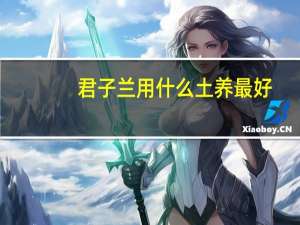君子兰用什么土养最好