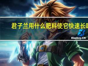 君子兰用什么肥料使它快速长叶