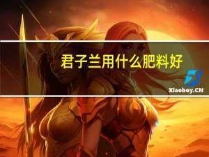君子兰用什么肥料好