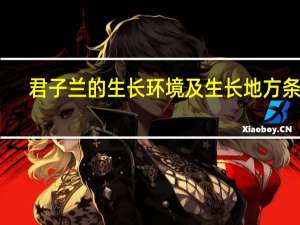 君子兰的生长环境及生长地方条件
